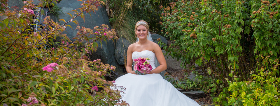 Weddings